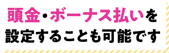 頭金・ボーナス払いを設定することも可能です
